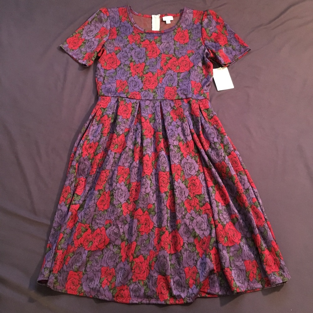 NWT Lularoe Amelia dress